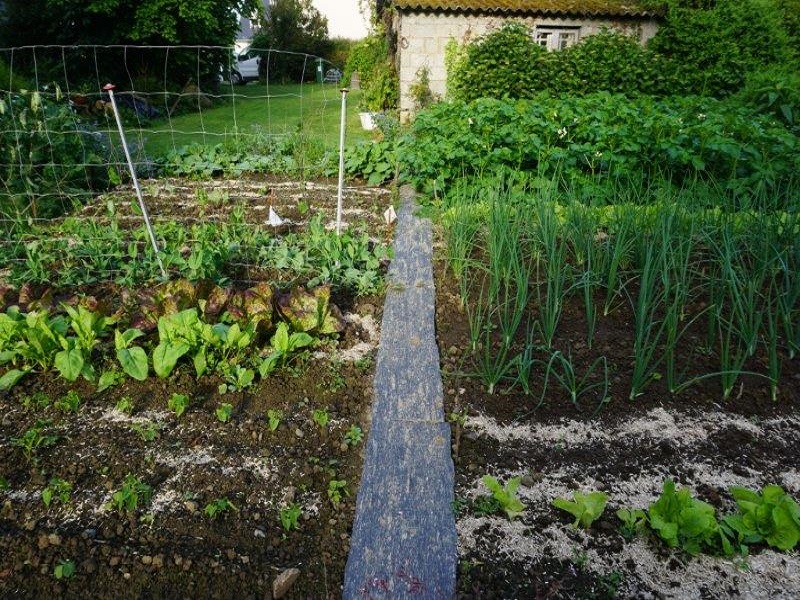 chemin quartzite potager
